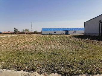 内蒙古通粮集团平安国家粮食储备库有限公司院内荒地对外承包招租公告