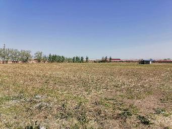 内蒙古通粮集团平安国家粮食储备库有限公司院内荒地对外承包招租公告