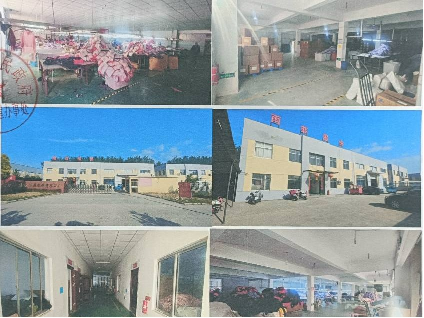 涟水县香樟路东侧、淮安大拇指服饰有限公司南侧非标准化厂房(国资监测编号GR2023JS5001537)