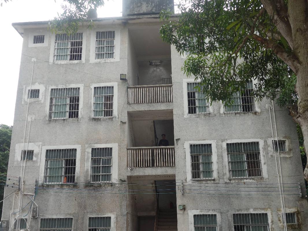 广西壮族自治区宁明公路养护中心林场养护组职工宿舍房屋整体招租项目