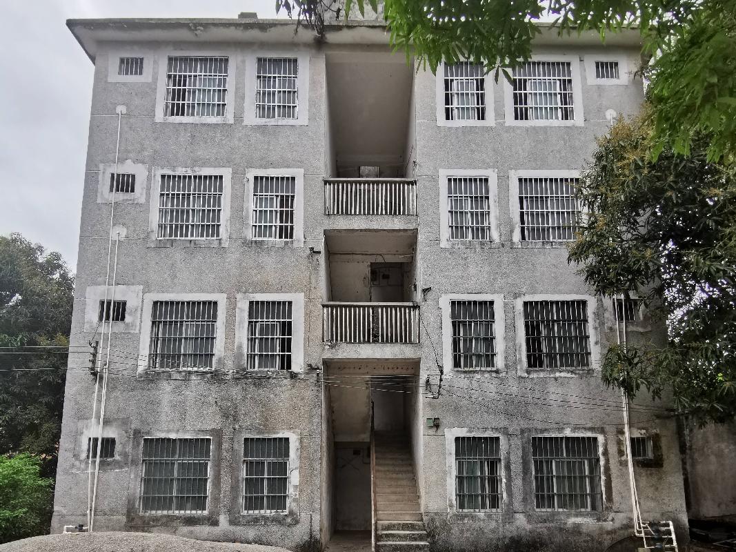 广西壮族自治区宁明公路养护中心林场养护组职工宿舍房屋整体招租项目