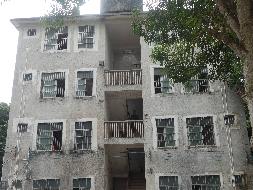 广西壮族自治区宁明公路养护中心林场养护组职工宿舍房屋整体招租项目