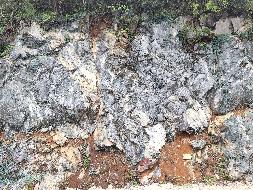 青阳县太子山水泥用石灰岩矿开拓道路拟动用石灰岩矿（约2.45万吨）转让公告(国资监测编号GR2023AH2004096)
