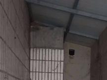 常州市正衡中学门口西侧商铺招租公告