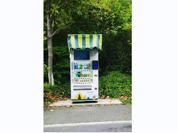 常州市新北区长江路新龙生态林东区场地招租公告