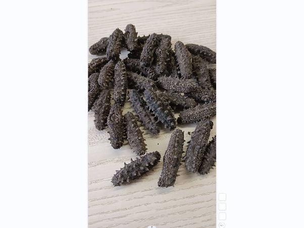 资产处置：【1kg】辽东海参 约160-200头 泡发率8倍左右转让公告