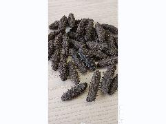 资产处置：【1kg】辽东海参 约160-200头 泡发率8倍左右转让公告