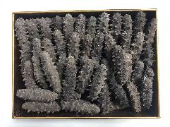 资产处置：【1kg】辽东海参 约160-200头 泡发率8倍左右转让公告