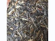 资产处置：【50砖】2014年冰岛砖普洱茶生茶250g/砖转让公告