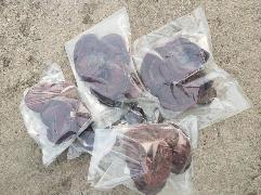 资产处置：【60袋】赤灵芝 250g/袋转让公告
