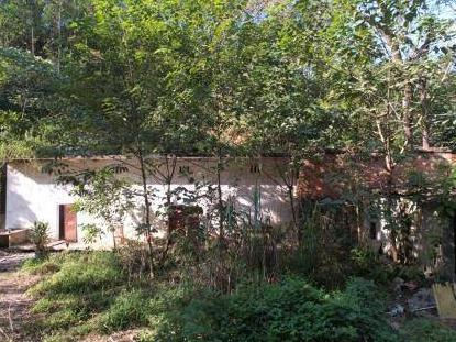 广西壮族自治区隆安公路养护中心旧油库房屋招租项目交易公告
