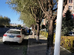 丰镇市农村信用联社股份有限公司持有的丰镇市新区华泰小区5号楼商铺2段-1-6房产项目询价