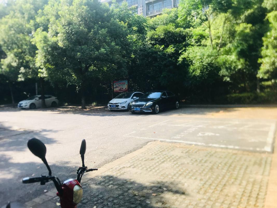 郴州市民权路五岭小游园停车场内新能源电动汽车充电桩建设及停车场经营权招租