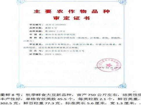 大豆衢鲜8号培育技术