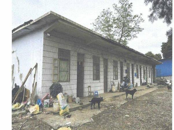 龙州县塘巧养护站站房、龙州县驮棉养护站站房招租项目交易公告