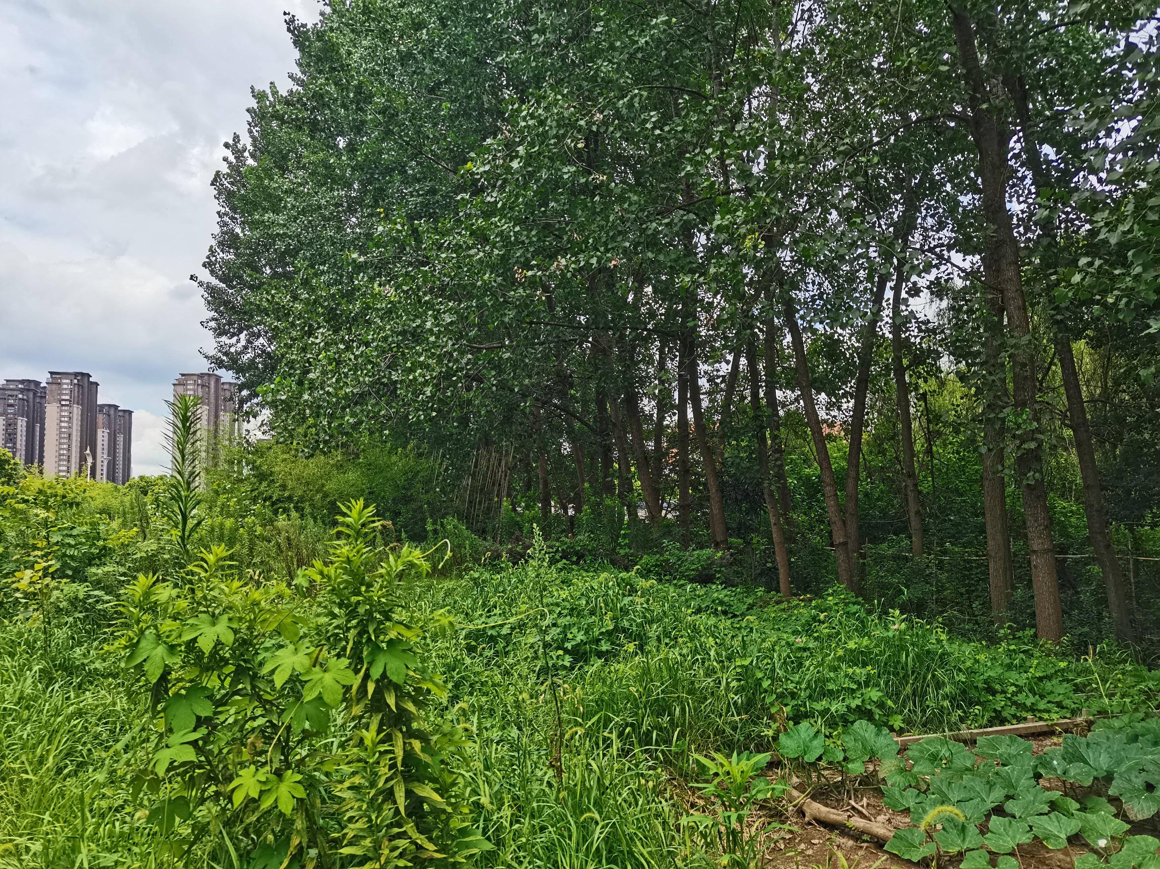 江苏省常州市新北区河海东路58号恐龙谷温泉招租公告