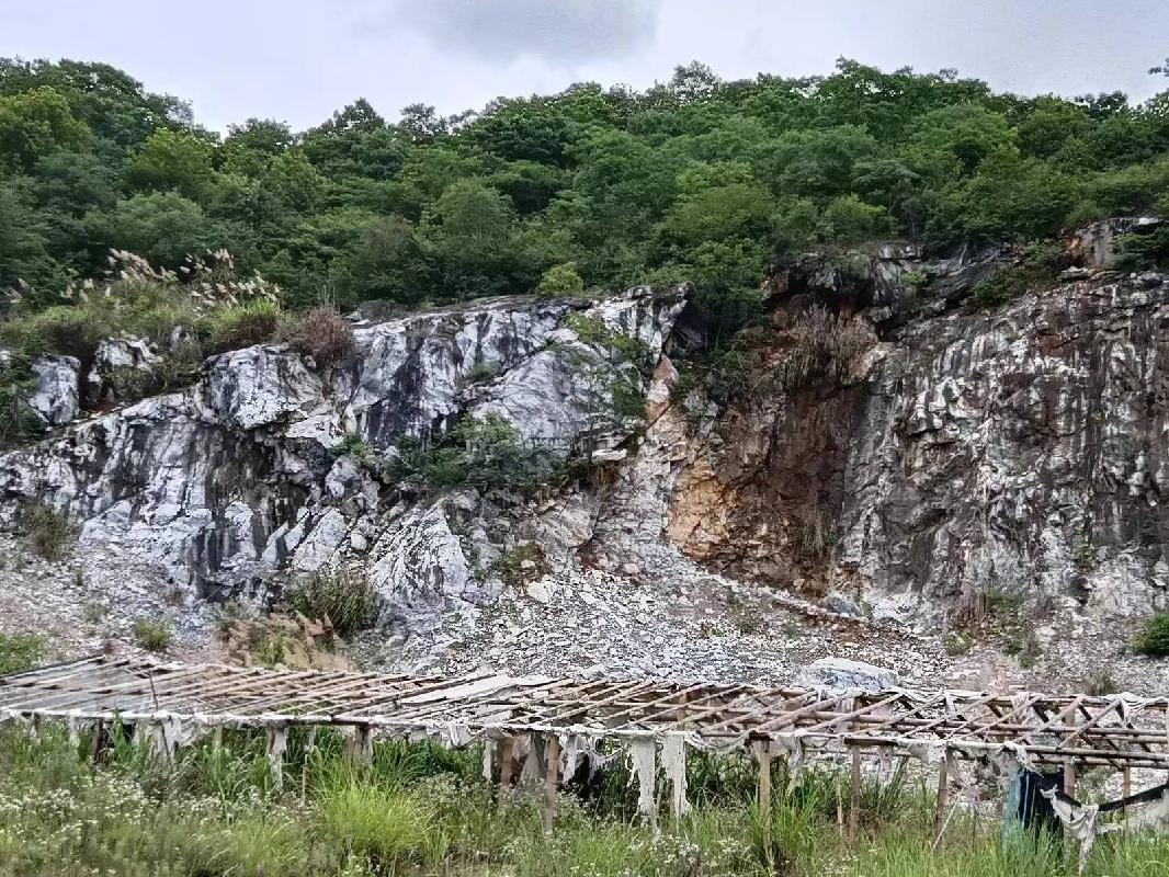 东至县张溪镇正鹏采石场废弃矿山生态环境保护修复治理产生的剩余石料转让公告(国资监测编号GR2023AH2000694)