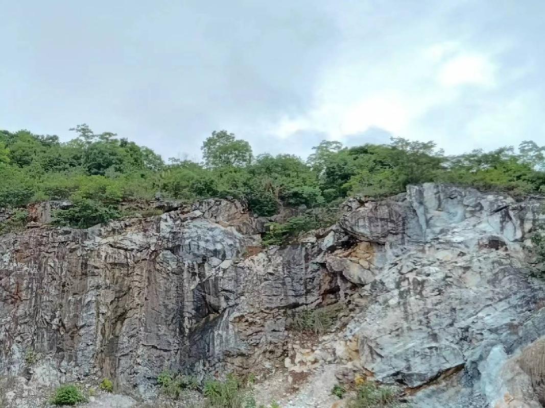 东至县张溪镇正鹏采石场废弃矿山生态环境保护修复治理产生的剩余石料转让公告(国资监测编号GR2023AH2000694)