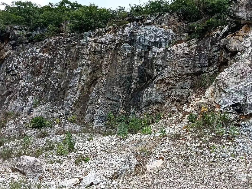 东至县张溪镇正鹏采石场废弃矿山生态环境保护修复治理产生的剩余石料转让公告(国资监测编号GR2023AH2000694)