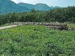 东至县张溪镇正鹏采石场废弃矿山生态环境保护修复治理产生的剩余石料转让公告(国资监测编号GR2023AH2000694)