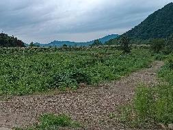 东至县张溪镇正鹏采石场废弃矿山生态环境保护修复治理产生的剩余石料转让公告(国资监测编号GR2023AH2000694)