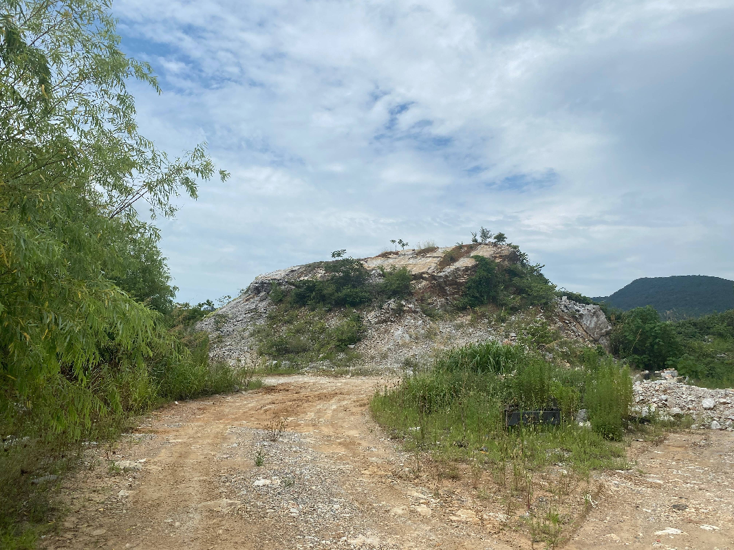 繁昌区荻港镇原洞山石厂区域矿山地质环境治理工程产生的剩余建筑用石料(国资监测编号GR2023AH2000743)