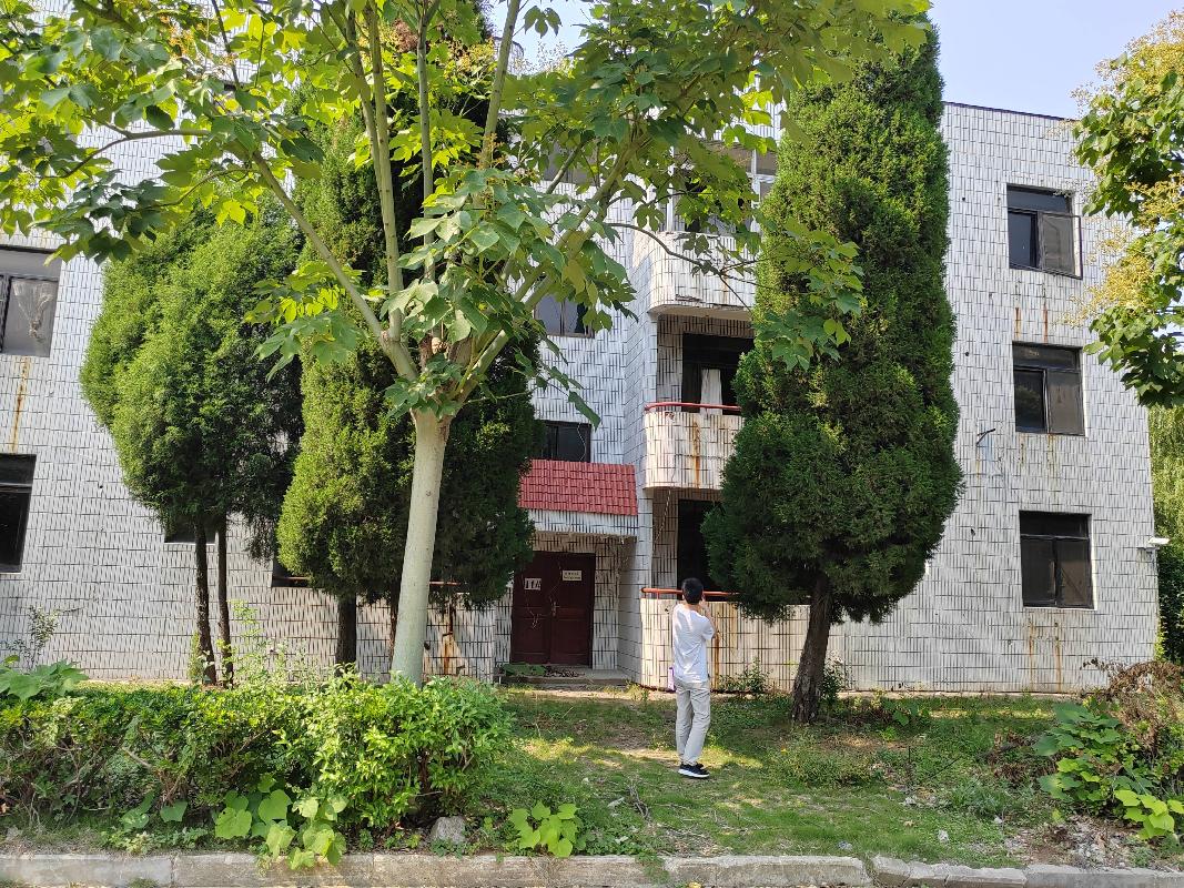 徐州市金山桥开发区龙潭山庄11#转让公告(国资监测编号GR2023JS4002815)