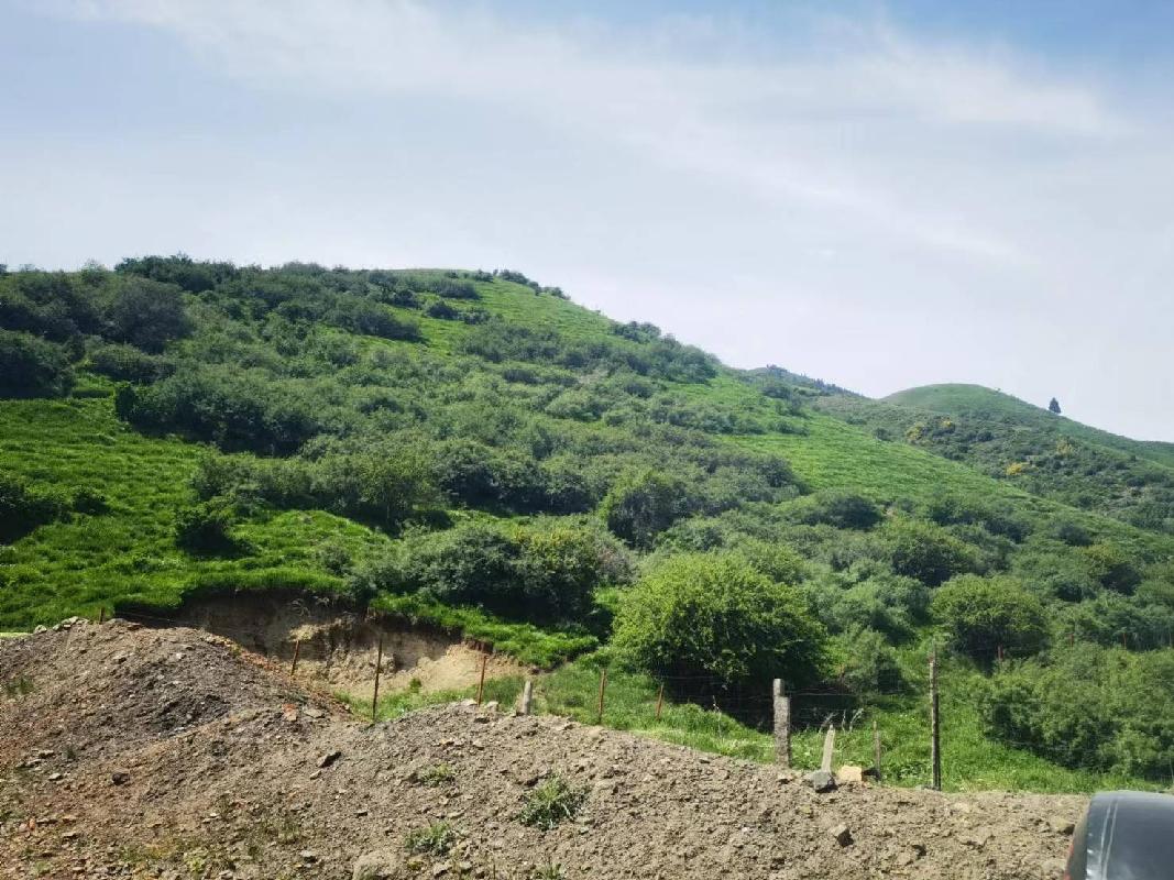 新疆维吾尔自治区煤田地质局一五六煤田地质勘探队转让位于新疆昌吉市石灰沟煤矿勘探探矿权(三次挂牌)