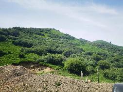 新疆维吾尔自治区煤田地质局一五六煤田地质勘探队转让位于新疆昌吉市石灰沟煤矿勘探探矿权(三次挂牌)