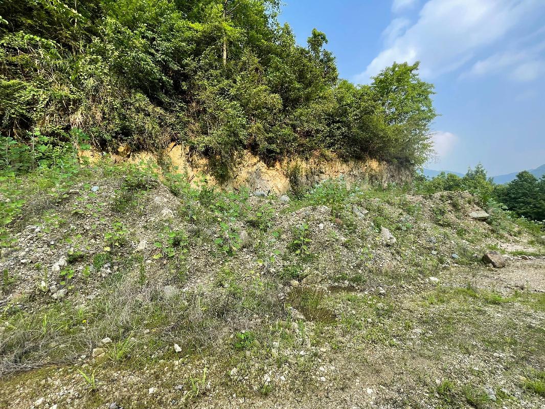 青阳县石英砂厂矿山地质环境治理工程产生剩余石料转让公告(国资监测编号GR2023AH2000766)