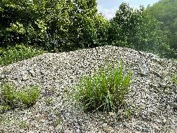 青阳县石英砂厂矿山地质环境治理工程产生剩余石料转让公告(国资监测编号GR2023AH2000766)