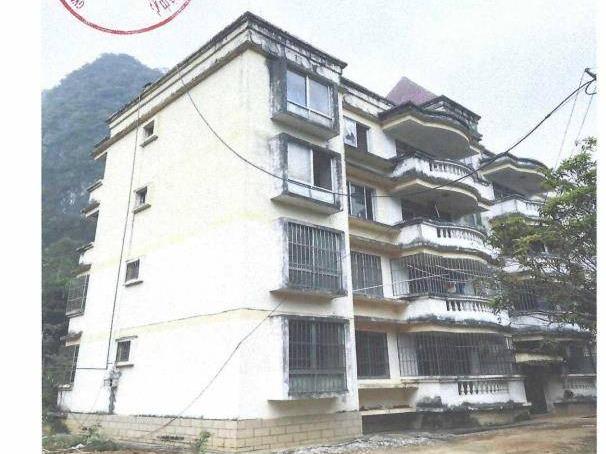 龙州县贵平养护站站房、上龙养护站站房、武德养护站站房、根村养护站站房招租项目交易公告