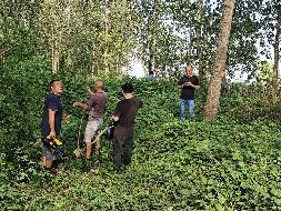 沅江市苗圃场（沅江市目平湖林芦站）2292株清退杨树