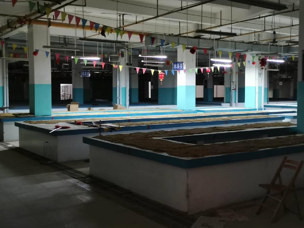 广西百色市德保县城关镇消防队（东蒙）西南面【盛新·都市名苑】101号房产转让项目交易公告(国资监测编号GR2023GX2000556)
