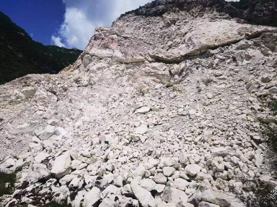 一批无主白云岩毛石和罚没高岭土矿产品公开处置（卓资县国有资产监督管理委员会）(国资监测编号GR2023NM1002482)