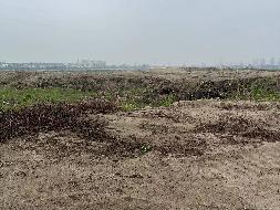 芜湖市鸠江区华谊C地块弃砂转让公告(国资监测编号GR2023AH2001030)