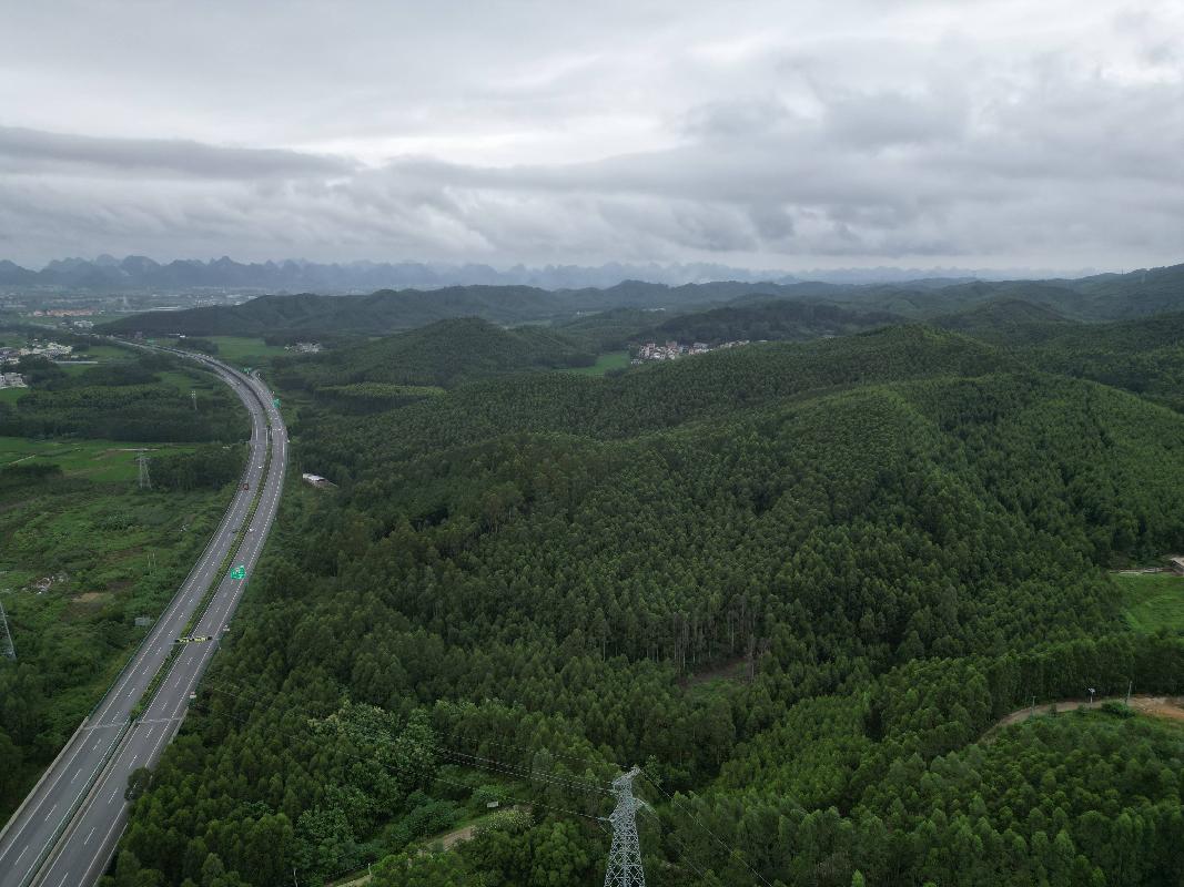 贵港市覃塘区覃塘街道龙岭村约5151.336亩林地使用权流转项目