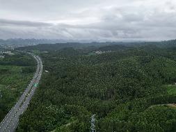 贵港市覃塘区覃塘街道龙岭村约5151.336亩林地使用权流转项目