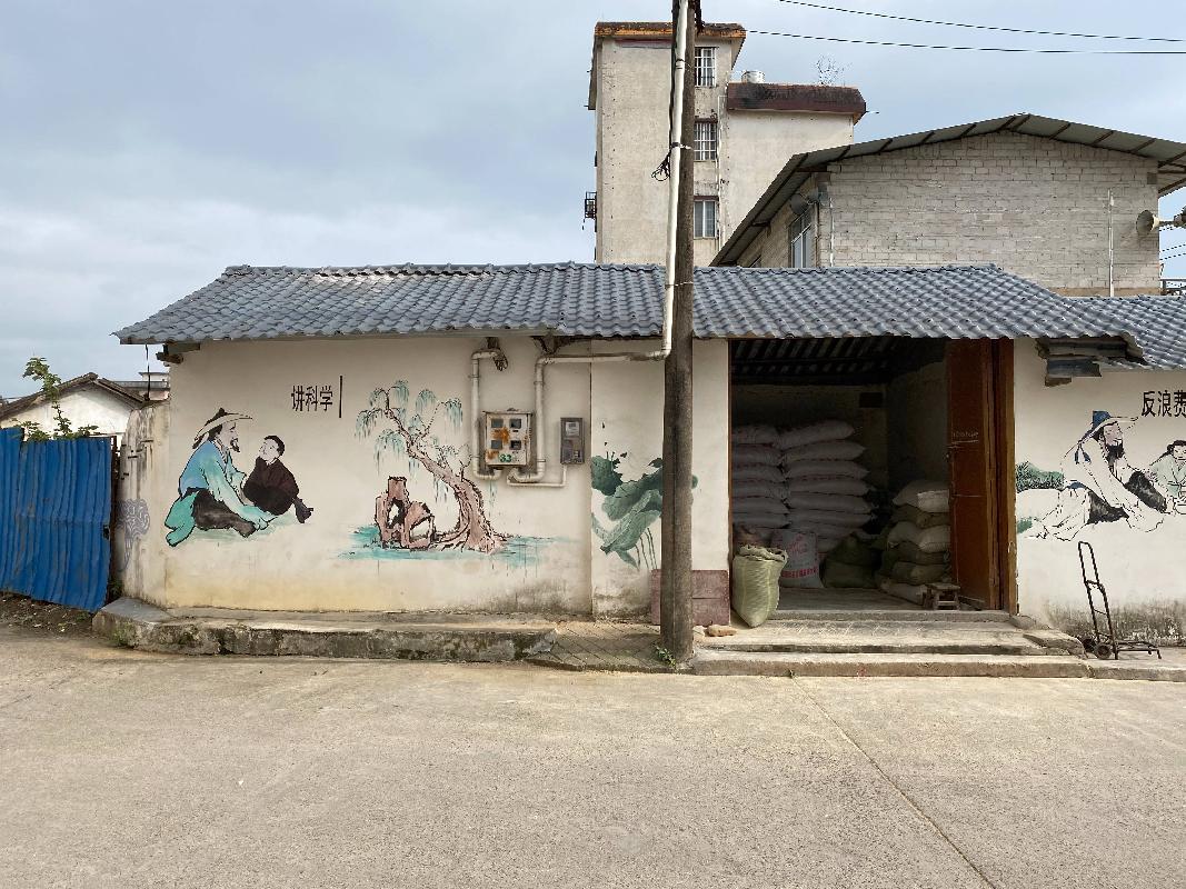 蒙山镇文平村委西向1间约30平方米房屋出租