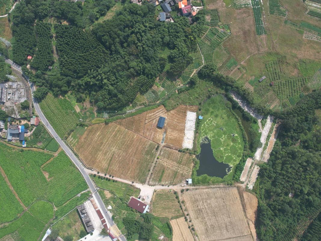 新圩镇新圩村十一、十二组42.6亩土地出租