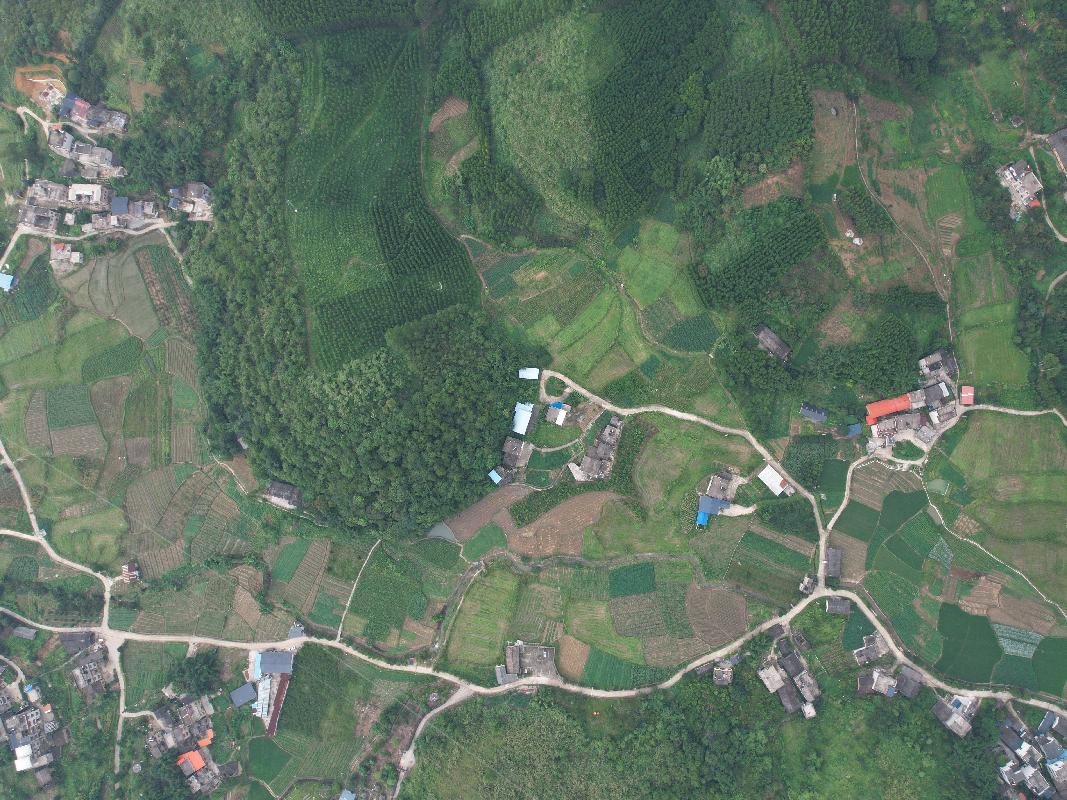 蒙山县新圩镇古定村280.99亩土地出租