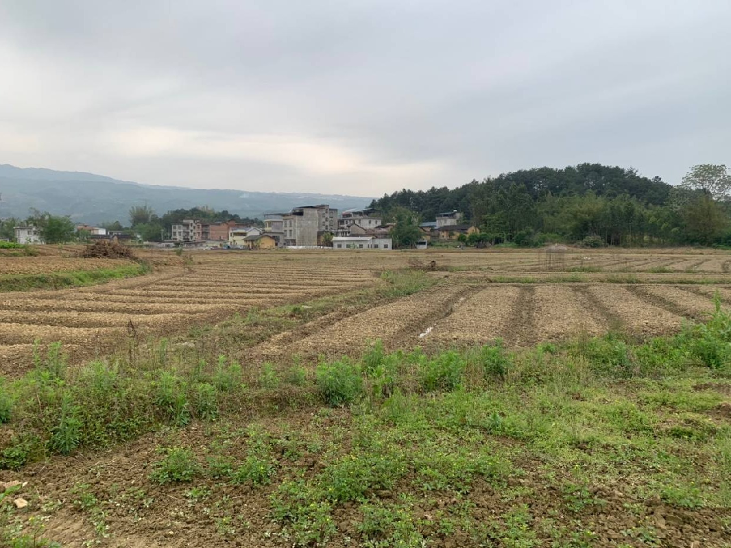 贺州市富川县柳家乡下湾村3.22亩土地经营权流转项目