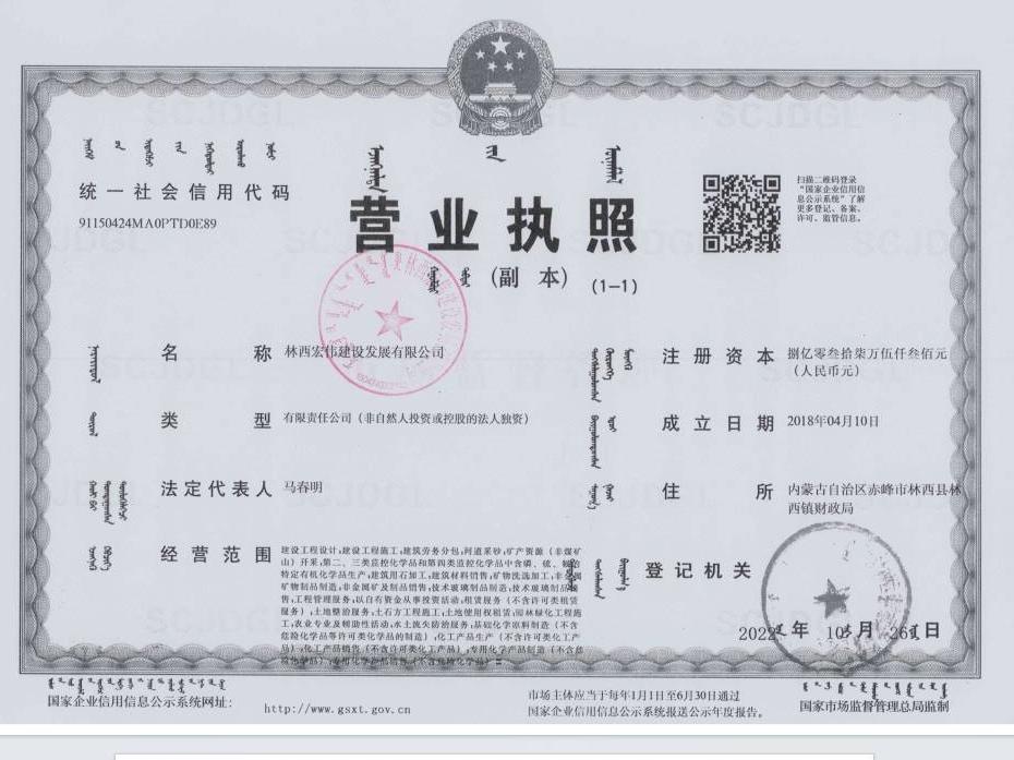 林西宏伟建设发展有限公司拟择优选择股权投资标的公司项目