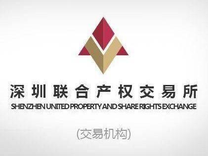 华能微山新能源有限公司持有的部分固定资产和部分在建工程、土地使用权转让