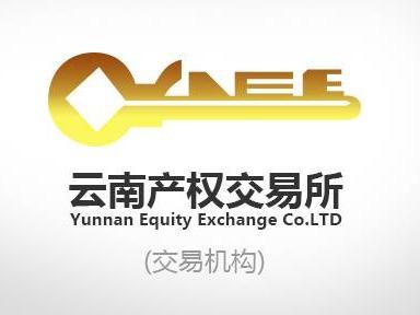 2023年迪庆香格里拉机场商业资源经营权有偿转让(三次挂牌)