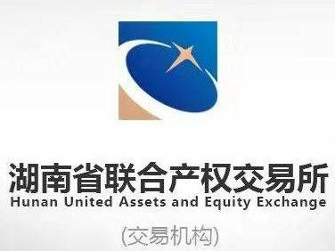 对湖南天成高分子材料有限公司债权