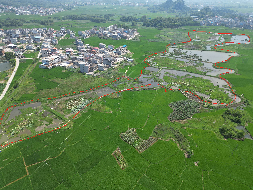 贵港市覃塘区山北乡约120亩土地经营权流转项目