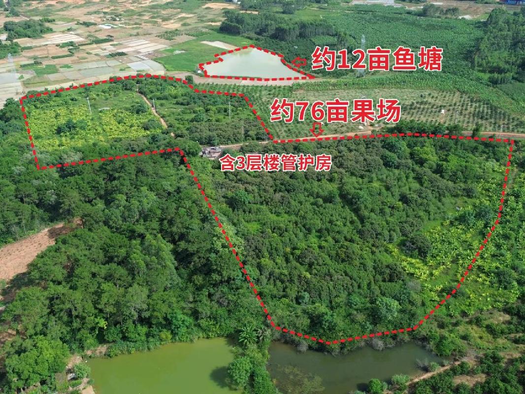 贵港市平南县大安镇订木村约76亩果场及12亩养殖水面经营权流转项目