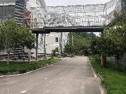 张家界桑植县澧源镇岩垭村桑植县西互通收费站S17土地及房产使用权招租(国资监测编号GR2023HN1001851)
