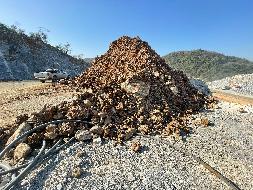 青阳县太子山水泥用石灰岩矿剥离物资源转让公告(国资监测编号GR2023AH2001913)